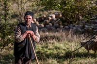 Shepherd and his flock