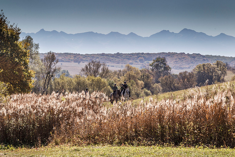 View towards Carathian Mountains