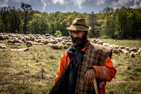 shepherd