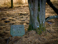offas-dyke-path-marker