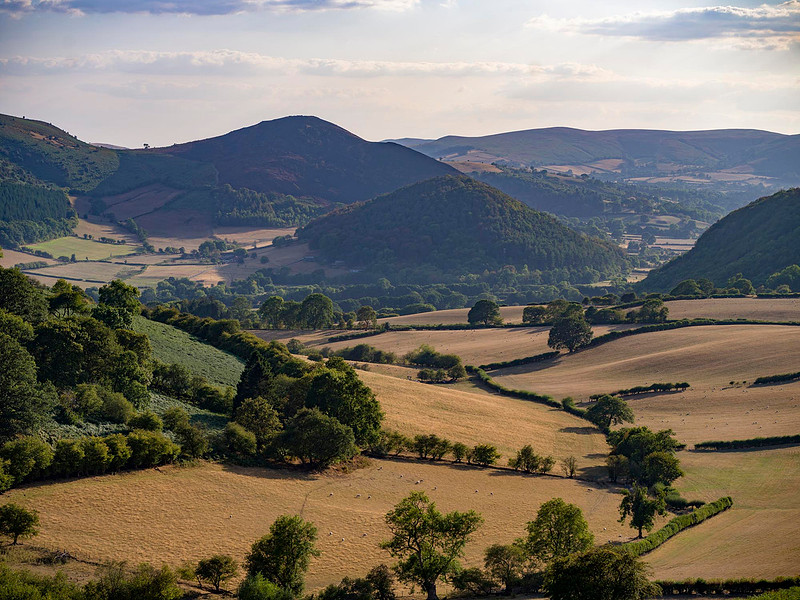 landscape-offas-dyke-worsall-wood-hanter-hill