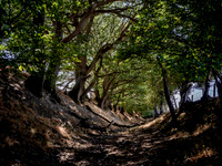 offas-dyke-kington