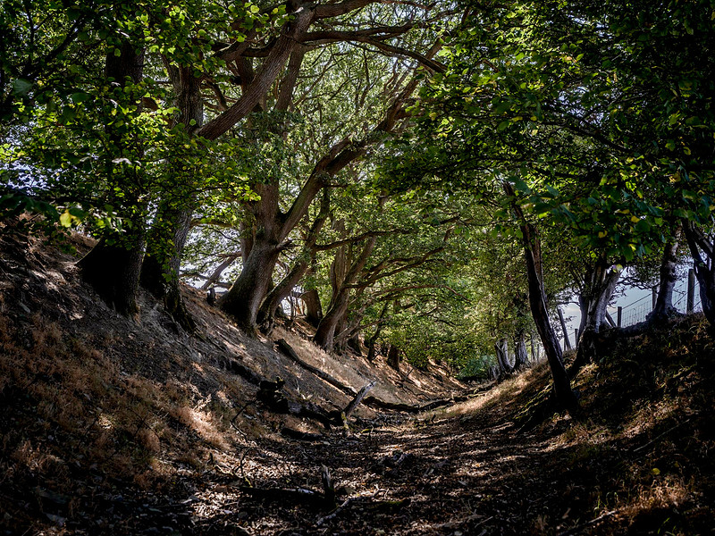 offas-dyke-kington