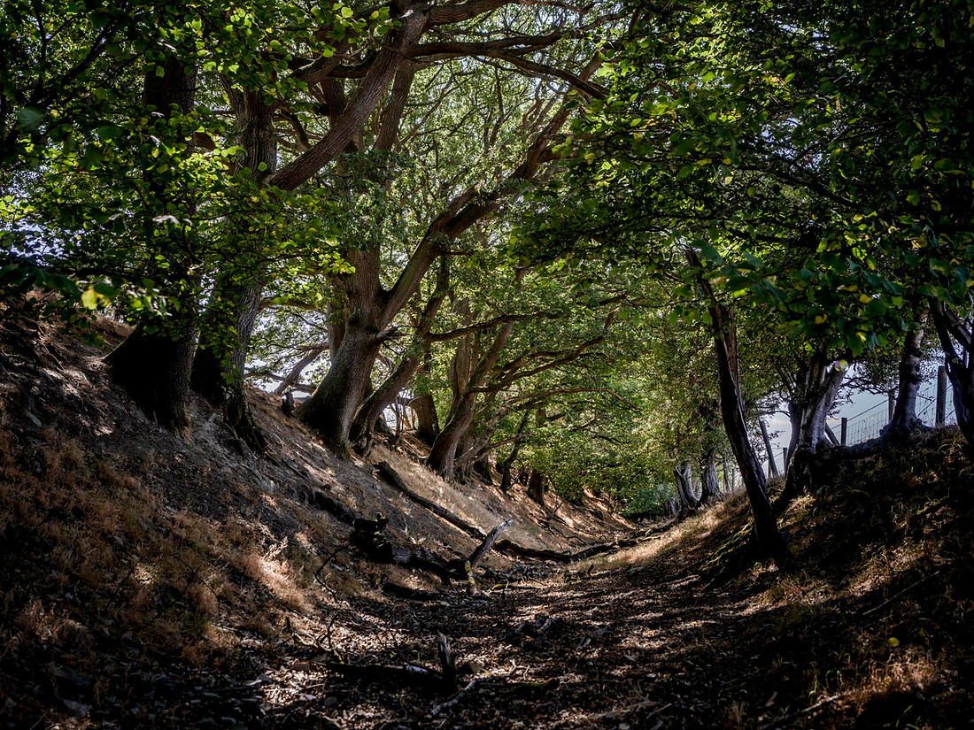 offas-dyke-kington