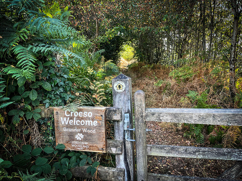 granner-wood-woodland-trust-offas-dyke