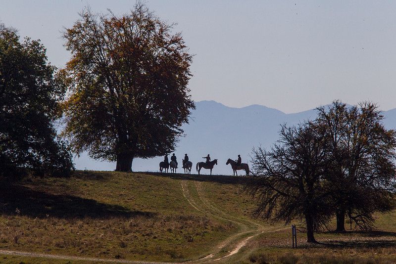 Transylvania on horseback
