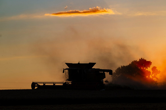 Harvest - Ragley Estate